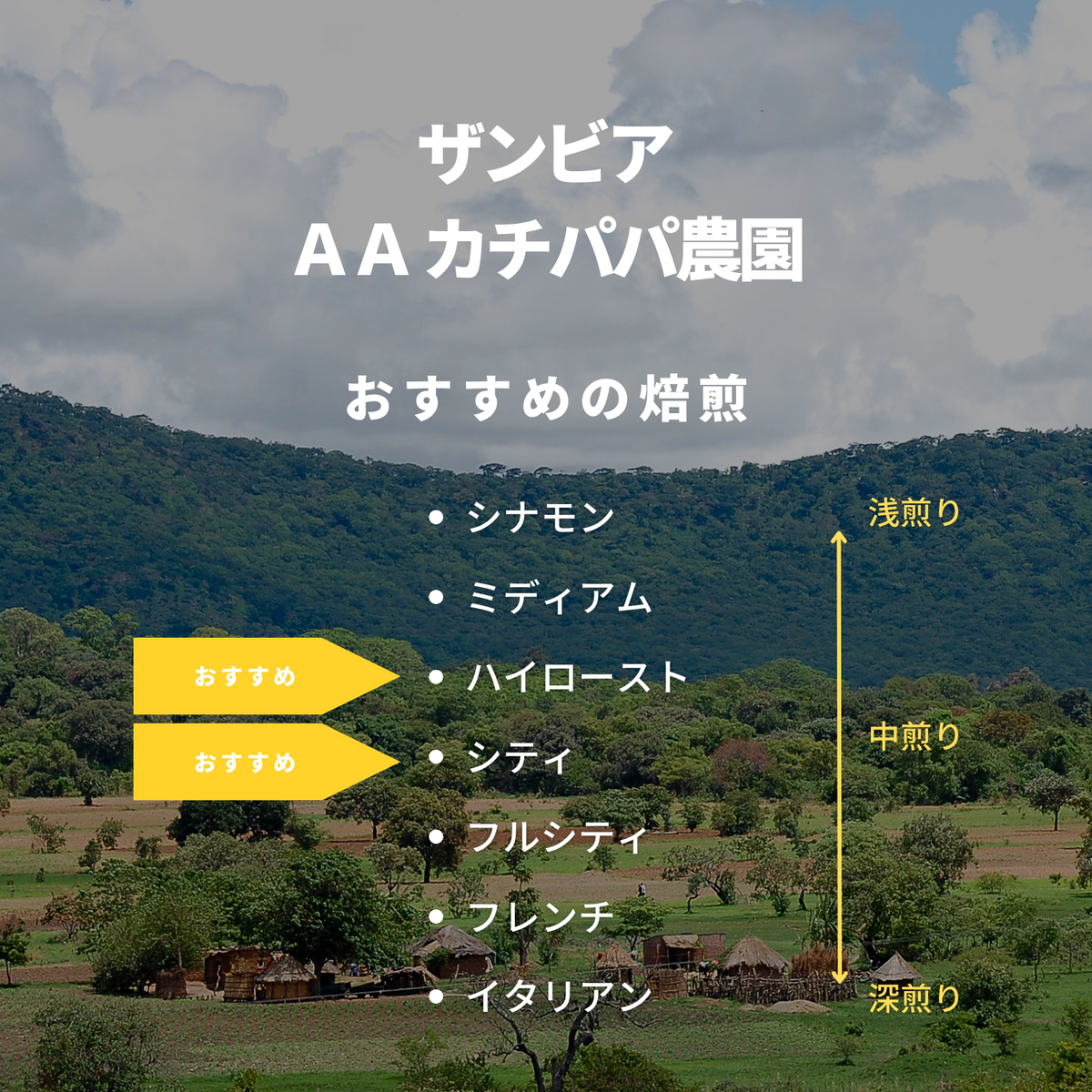 ザンビア ＡＡ カチパパ農園