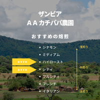ザンビア ＡＡ カチパパ農園