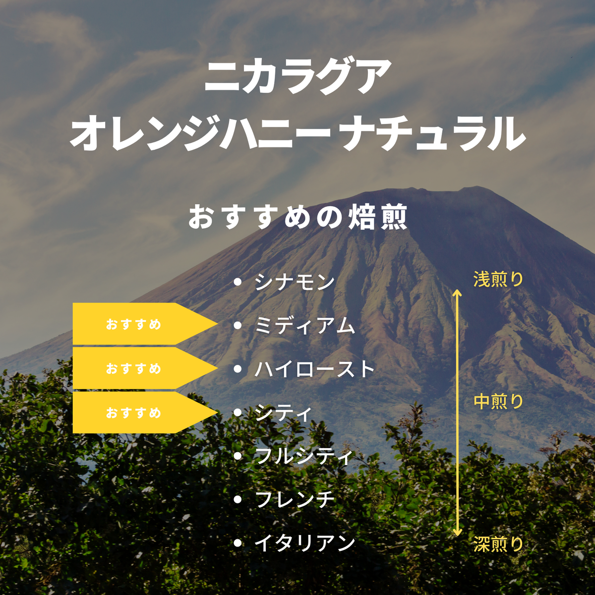 ニカラグア オレンジハニー ナチュラル