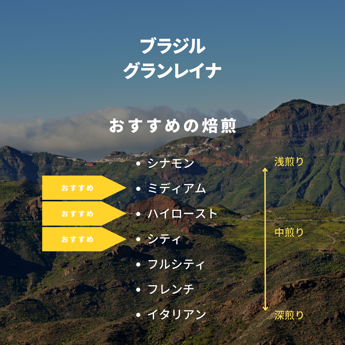 ブラジル グランレイナ