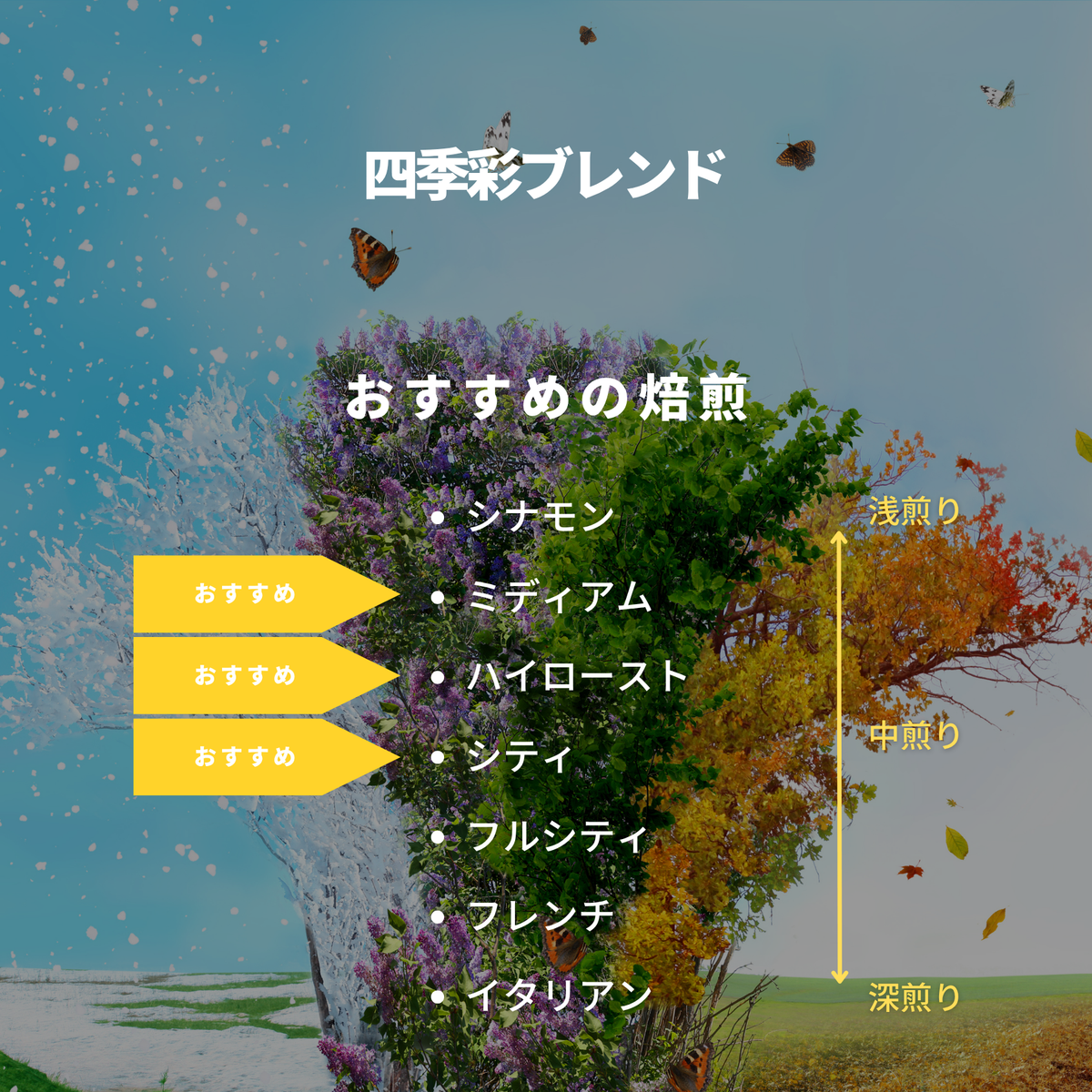 四季彩 ブレンド