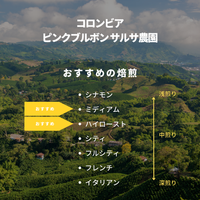 コロンビア ピンクブルボン サルサ農園