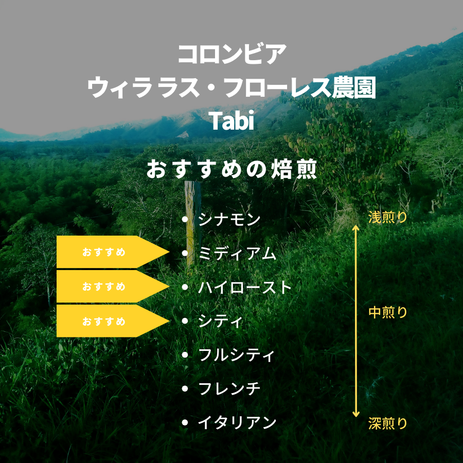 コロンビア ウィラ ラス・フローレス農園 Tabi