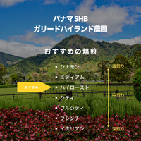 パナマ SHB　ガリードハイランド農園