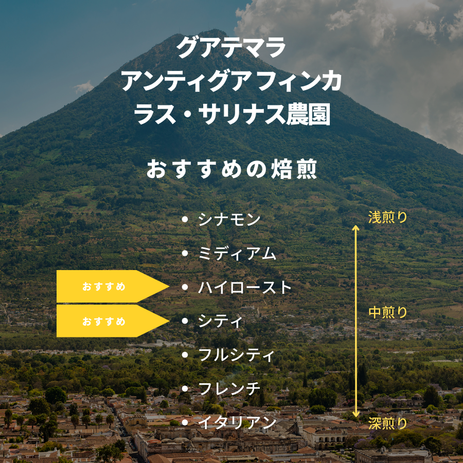 グアテマラ アンティグア フィンカ ラス・サリナス農園