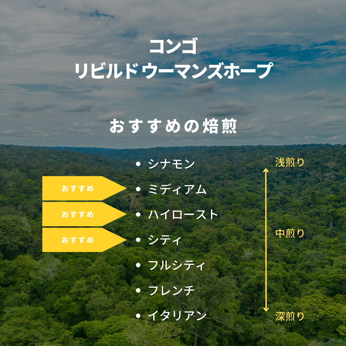 コンゴ リビルド ウーマンズホープ