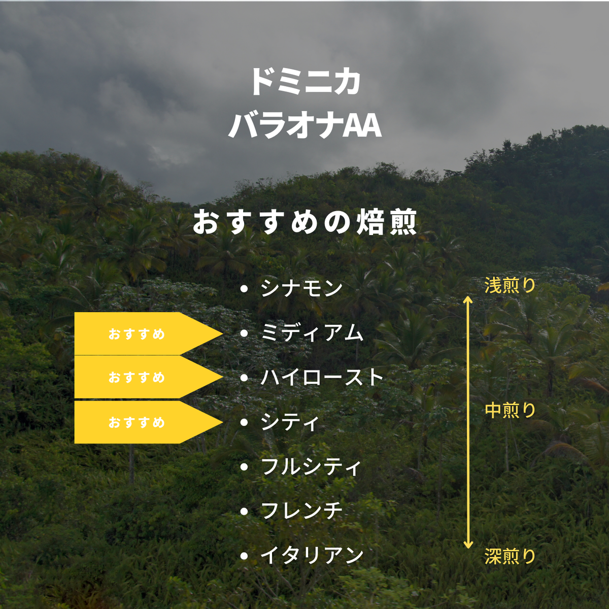 ドミニカ バラオナAA