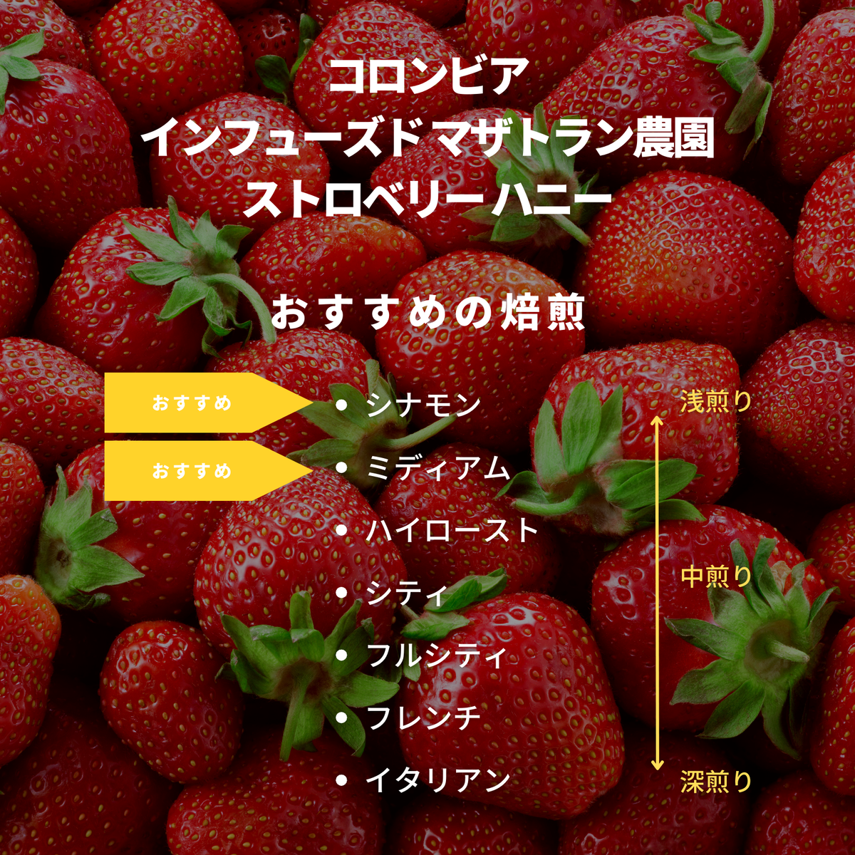 コロンビア インフューズド マザトラン農園 ストロベリー ハニー