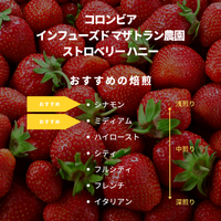 コロンビア インフューズド マザトラン農園 ストロベリー ハニー
