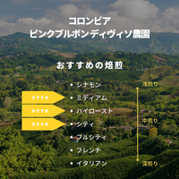 コロンビア ピンクブルボン ディヴィソ農園