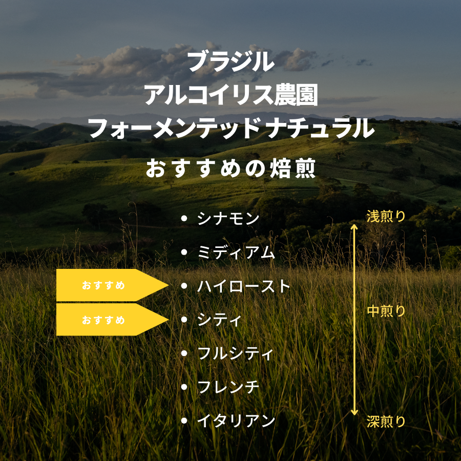 ブラジル アルコイリス農園 フォーメンテッド ナチュラル