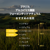 ブラジル アルコイリス農園 フォーメンテッド ナチュラル