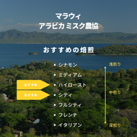 マラウィ アラビカ ミスク農協