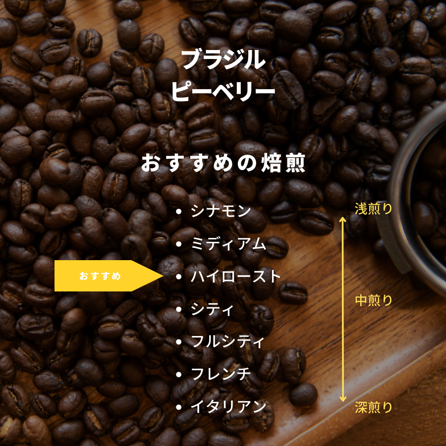 ブラジル ピーベリー