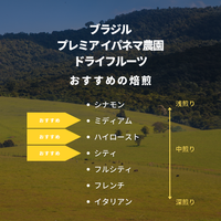 ブラジル プレミア イパネマ農園 ドライフルーツ
