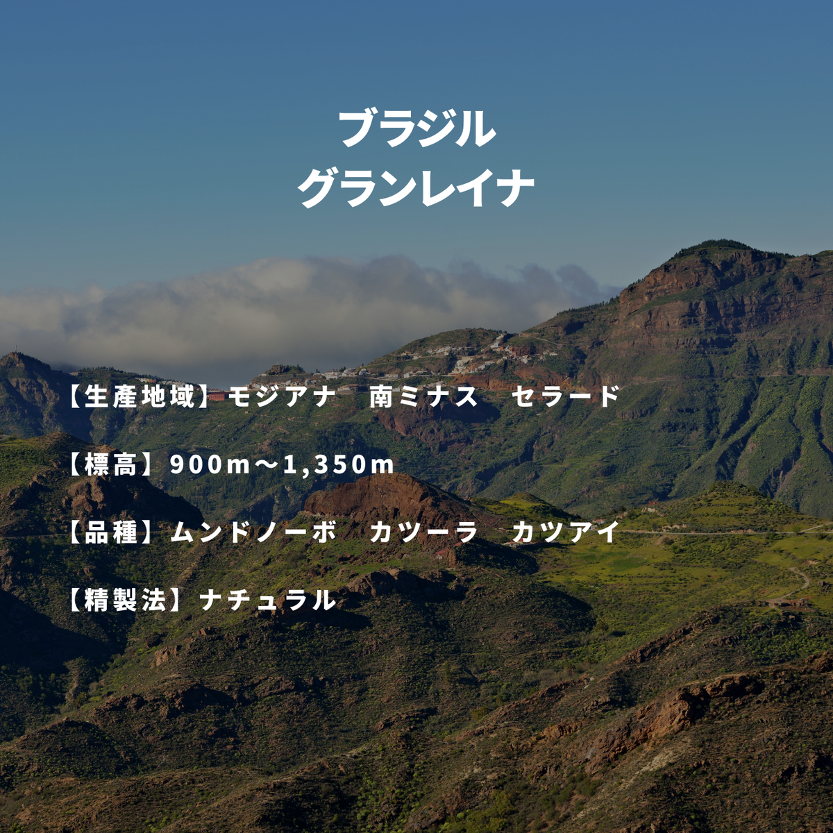 ブラジル グランレイナ