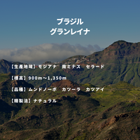 ブラジル グランレイナ