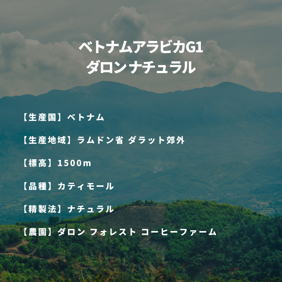 ベトナム アラビカG1  ダロン ナチュラル