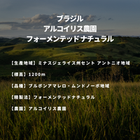 ブラジル アルコイリス農園 フォーメンテッド ナチュラル