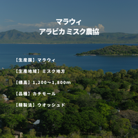 マラウィ アラビカ ミスク農協