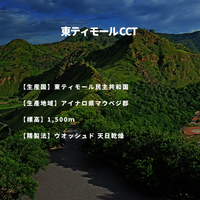 東ティモール CCT