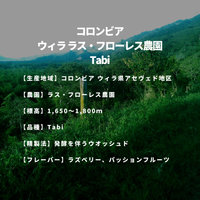 コロンビア ウィラ ラス・フローレス農園 Tabi
