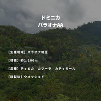 ドミニカ バラオナAA