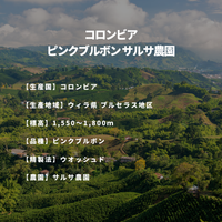 コロンビア ピンクブルボン サルサ農園