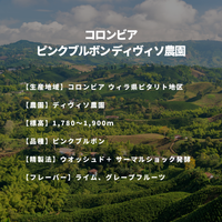 コロンビア ピンクブルボン ディヴィソ農園