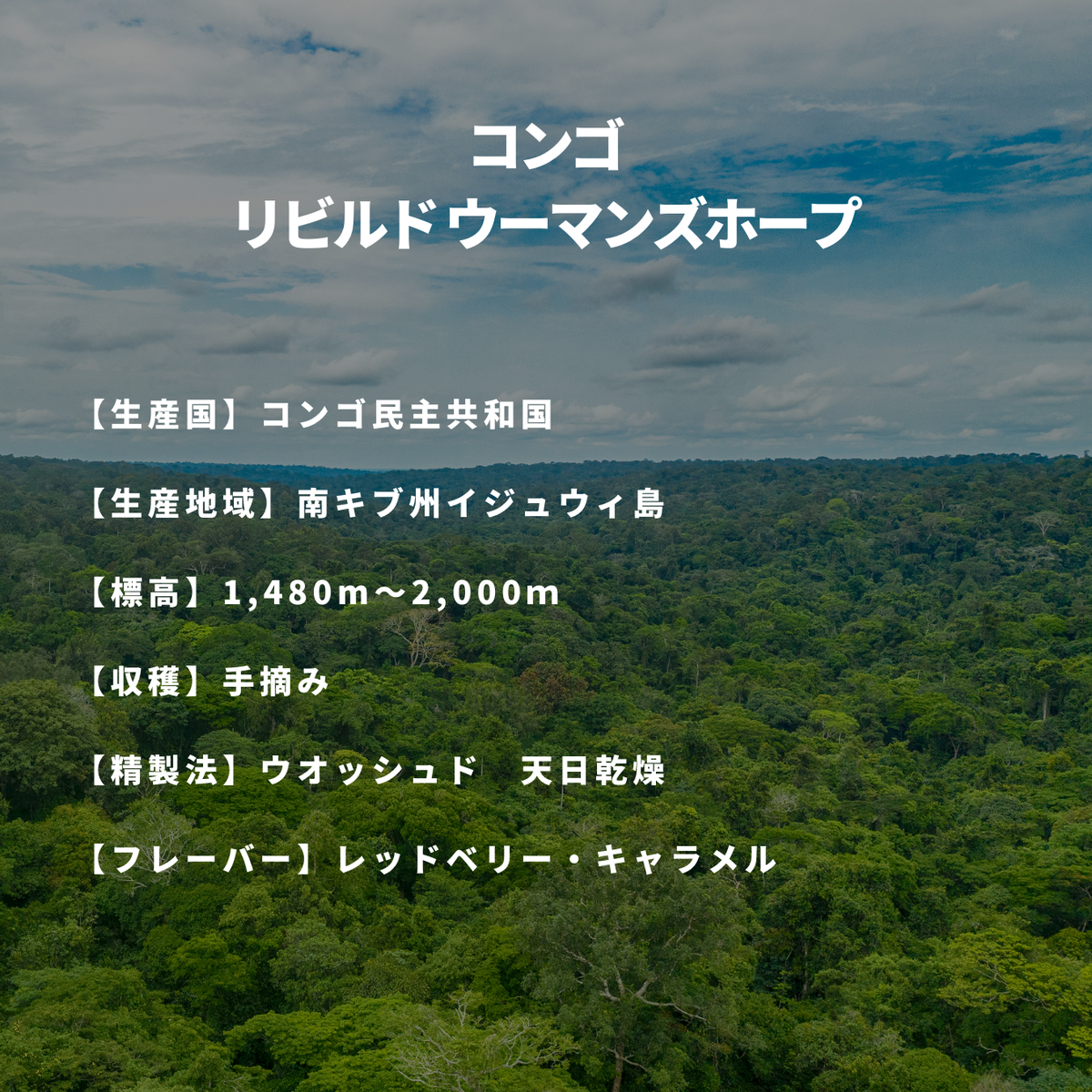 コンゴ リビルド ウーマンズホープ