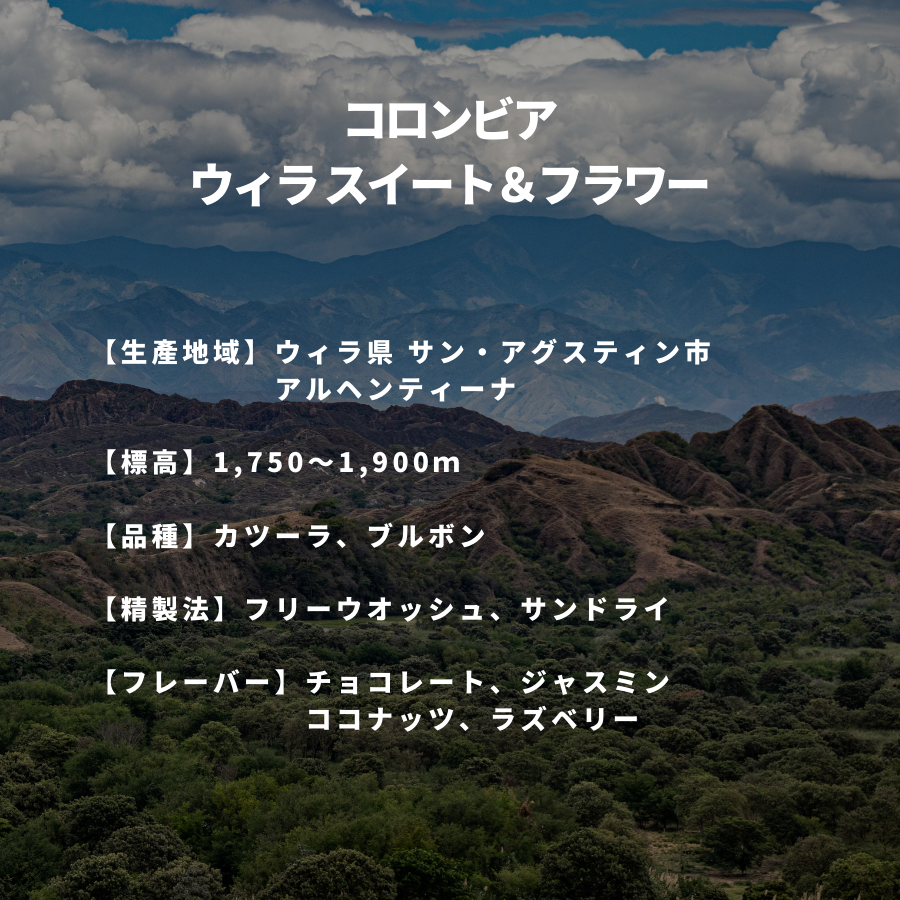 コロンビア ウィラ スイート＆フラワー