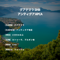 グアテマラ SHB アンティグア APCA