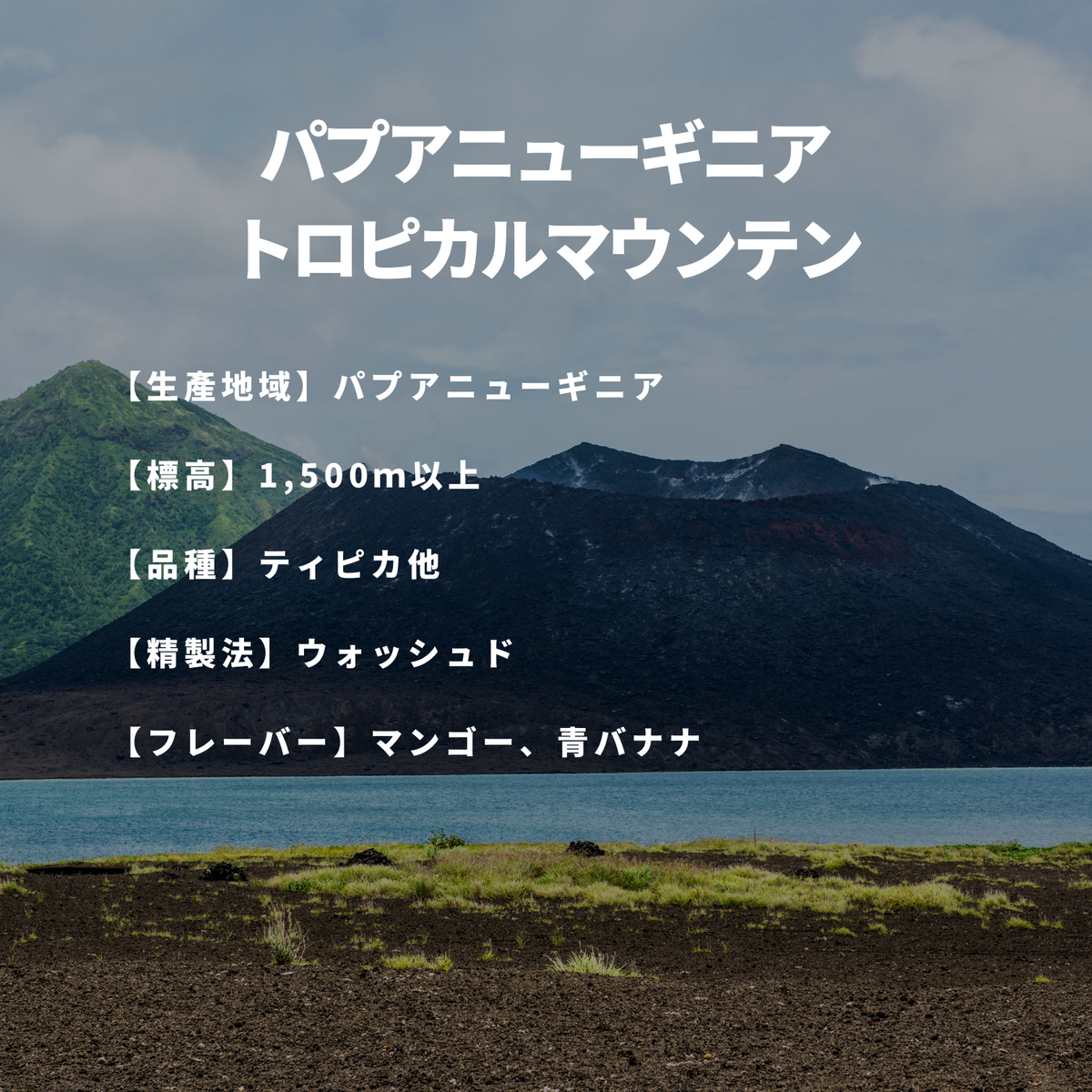 パプアニューギニア トロピカルマウンテン