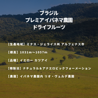 ブラジル プレミア イパネマ農園 ドライフルーツ