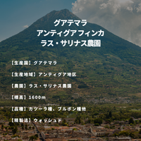 グアテマラ アンティグア フィンカ ラス・サリナス農園