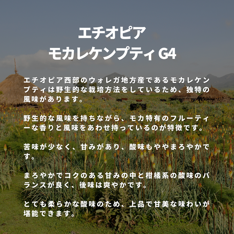 エチオピア モカレケンプティ G4