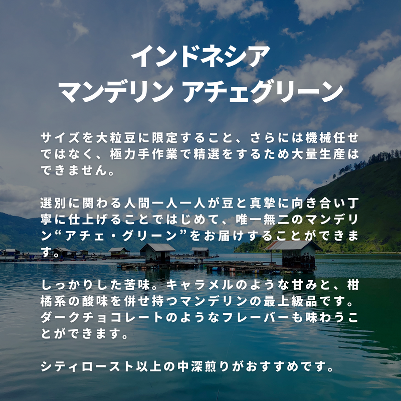 インドネシア マンデリン アチェグリーン