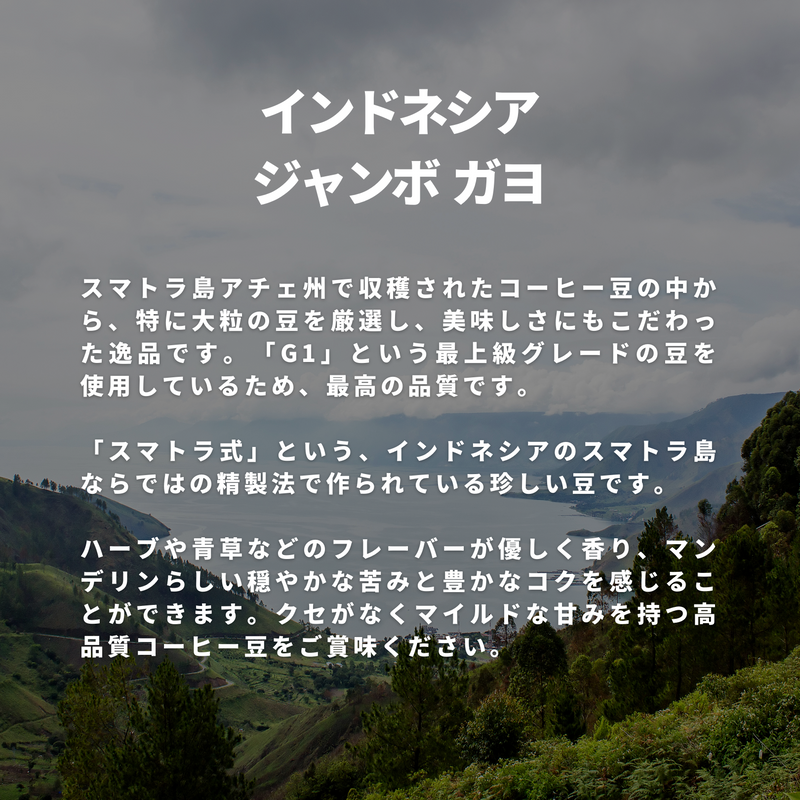 インドネシア ジャンボ ガヨ