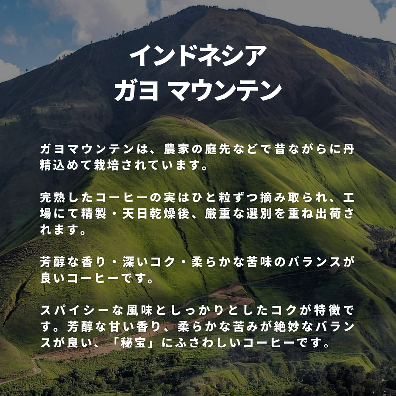 インドネシア ガヨ マウンテン