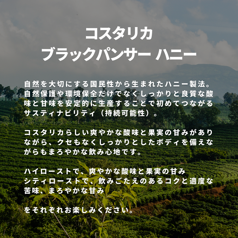 コスタリカ ブラックパンサー ハニー