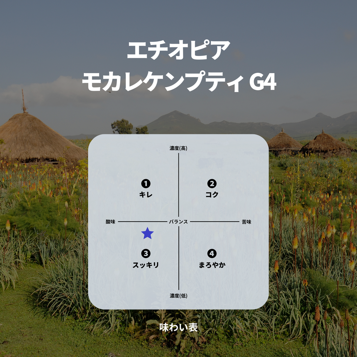 【コーヒー生豆】モカレケンプティG4 /5kgナチュラル※送料無料 エチオピア モカレケンプティ G4 – 焙煎工房てんぷす